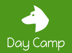 Doggy Day Camp