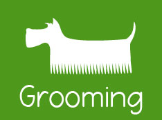 Grooming